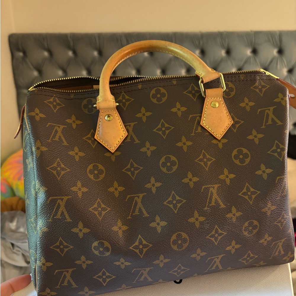 Louis Vuitton Brown Monogram Handbag